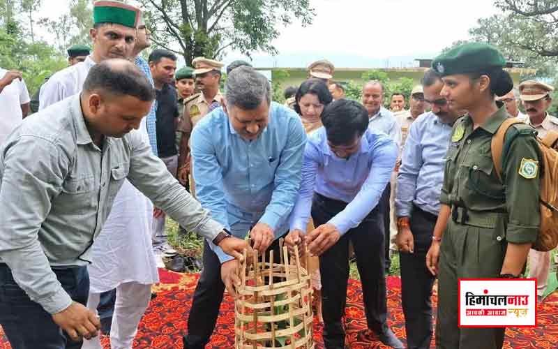 कोठी पंचायत में वन महोत्सव के तहत औषधीय पौधों का रोपण, 250 किसानों को मुफ्त पशु स्वास्थ्य किट वितरित