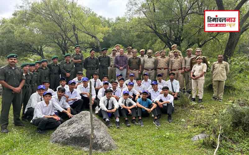 डलहौजी में ‘सालिक्स फॉर सॉयल’ अभियान ने बिना लागत के रोका भू-कटाव