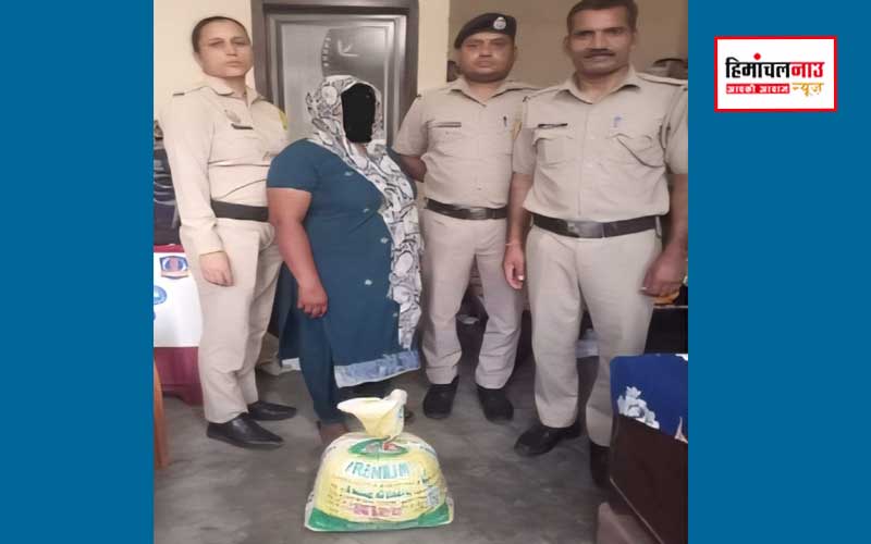 Sirmaur Drug Arrest / सिरमौर में नशे के खिलाफ पुलिस की दो बड़ी कार्रवाइयां, महिला समेत दो गिरफ्तार