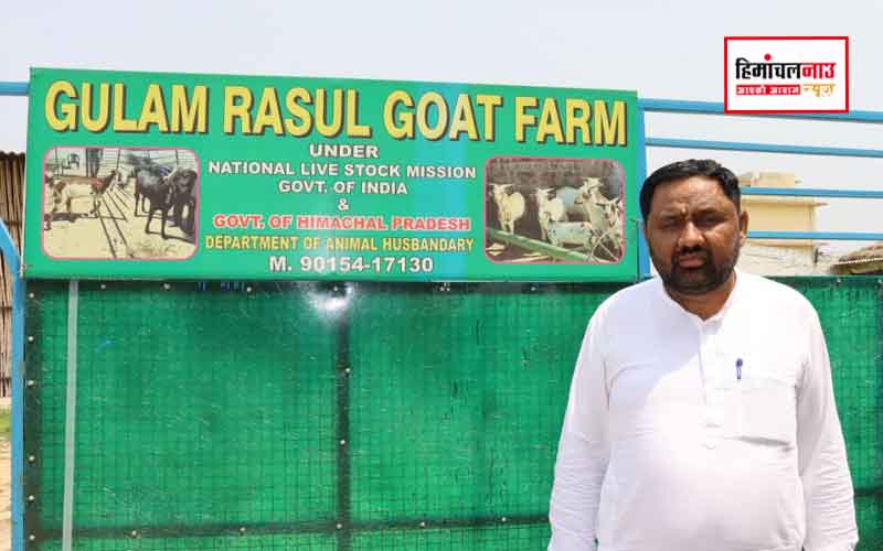 प्रदेश सरकार की योजनाओं का लाभ लेकर गुलाम रसूल ने स्वरोजगार से बदली अपनी किस्मत