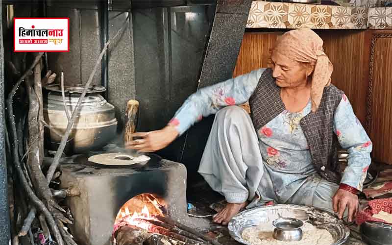 सिरमौर के गिरिपार में सात दिन का दिवाली महाउत्सव, बैलों की पूजा और पारंपरिक व्यंजनों की खुशबू से गूंजा क्षेत्र