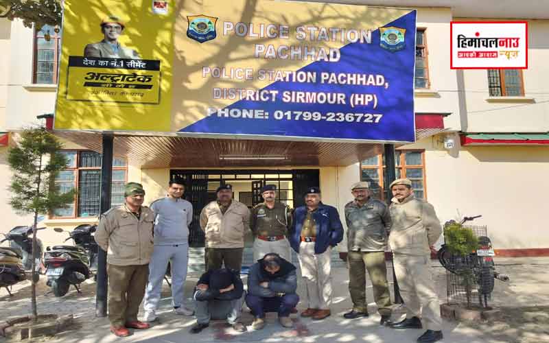 पच्छाद में बिना नंबर की ऑल्टो कार से 6.56 ग्राम चिट्टा बरामद, शिमला के दो युवक गिरफ्तार