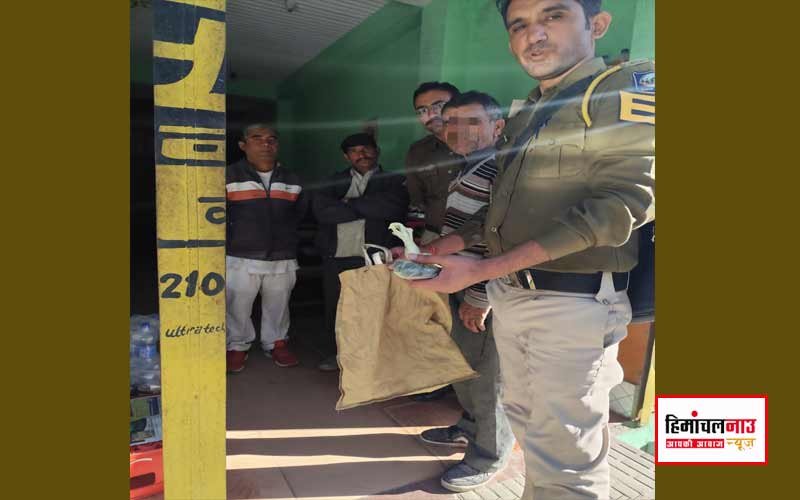 शिलाई पुलिस ने गश्त के दौरान चरस बरामद कर एक आरोपी को किया गिरफ्तार