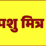 कसौली में पशु मित्र भर्ती के लिए काउंसलिंग