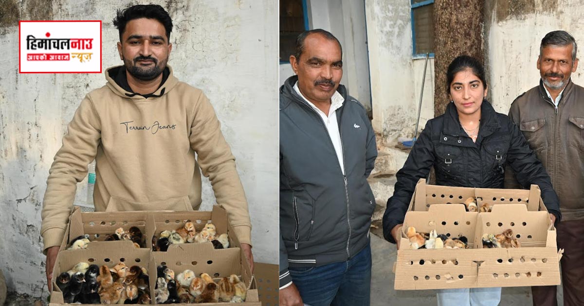 बैकयार्ड पोल्ट्री योजना से ग्रामीणों को घर बैठे रोजगार, सिरमौर सहित कई जिलों में बढ़ी आय