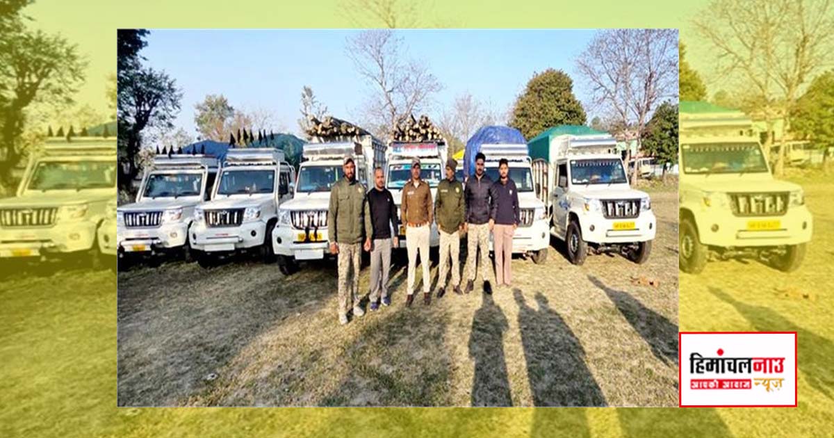 ऊना में वन विभाग की कार्रवाई, लकड़ी से लदे 15 वाहन बिना दस्तावेज जब्त