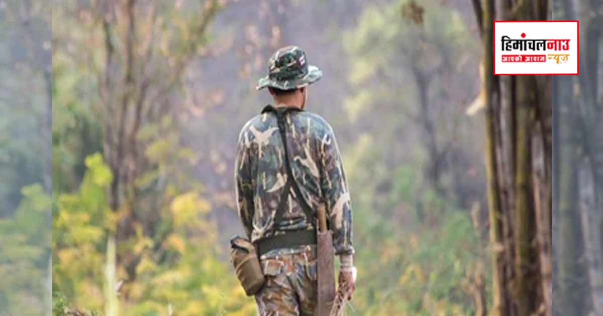 हिमाचल में वन विभाग भर्ती व्यवस्था में बड़ा बदलाव, 500 फॉरेस्ट गार्ड पद समाप्त कर असिस्टेंट फॉरेस्ट गार्ड पद सृजित