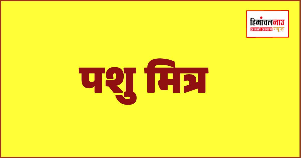 पशु मित्र भर्ती प्रक्रिया में बदलाव, काउंसलिंग से पहले देना होगा शारीरिक परीक्षण