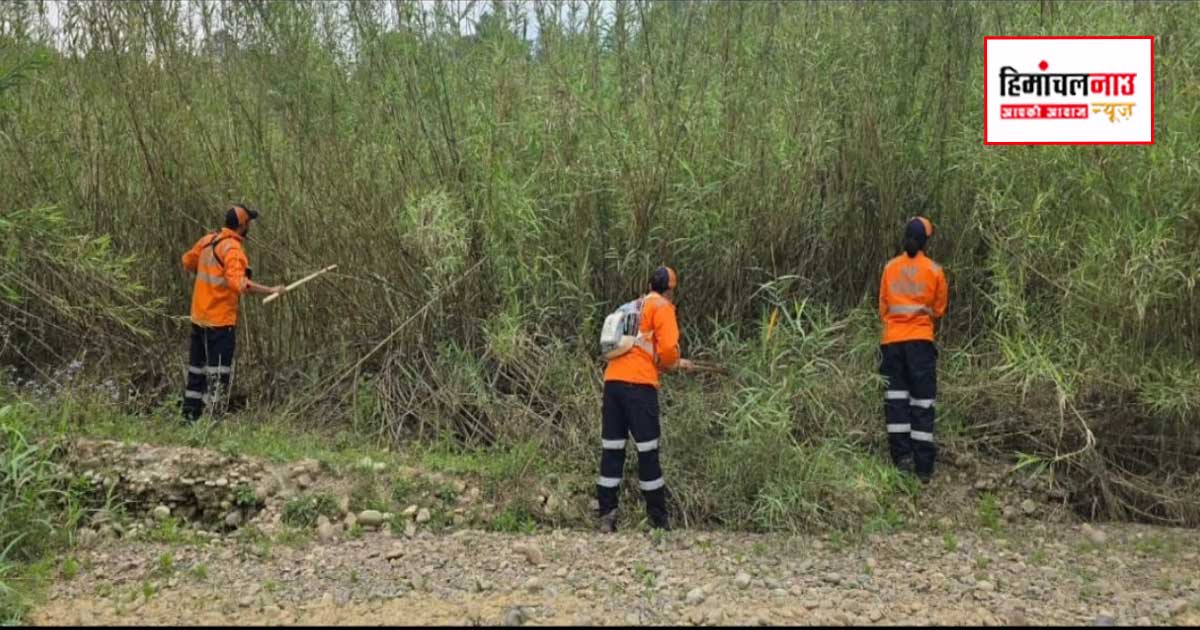 Missing / बड़सर में 6 वर्षीय बच्ची लापता, पुलिस-SDRF का सर्च अभियान जारी