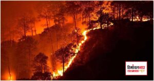 वनाग्नि की घटनाओं पर त्वरित सूचना के लिए टोल-फ्री नंबर जारी
