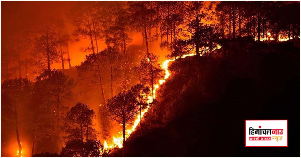 वनाग्नि की घटनाओं पर त्वरित सूचना के लिए टोल-फ्री नंबर जारी