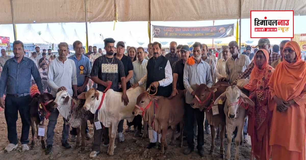 राज्य स्तरीय हरोली उत्सव में उपमुख्यमंत्री मुकेश अग्निहोत्री की उपस्थिति में पशुपालकों ने दिखाई उत्साहपूर्ण भागीदारी