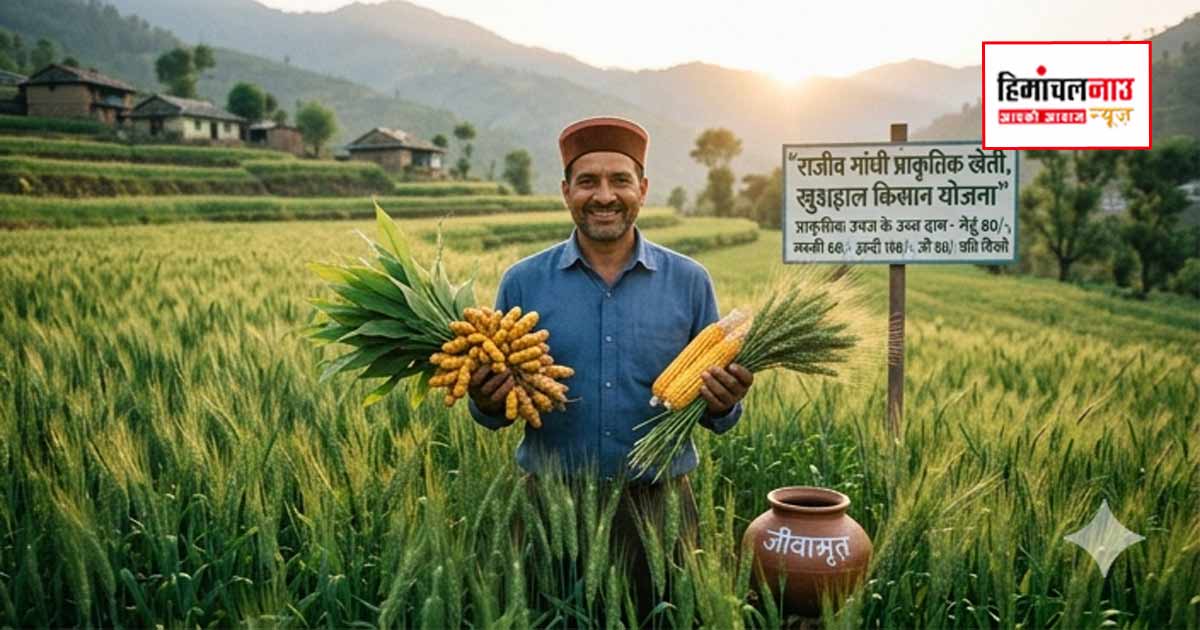 प्राकृतिक खेती के दाम बढ़ने से किसानों को राहत, ‘राजीव गांधी प्राकृतिक खेती योजना’ से बढ़ी आय