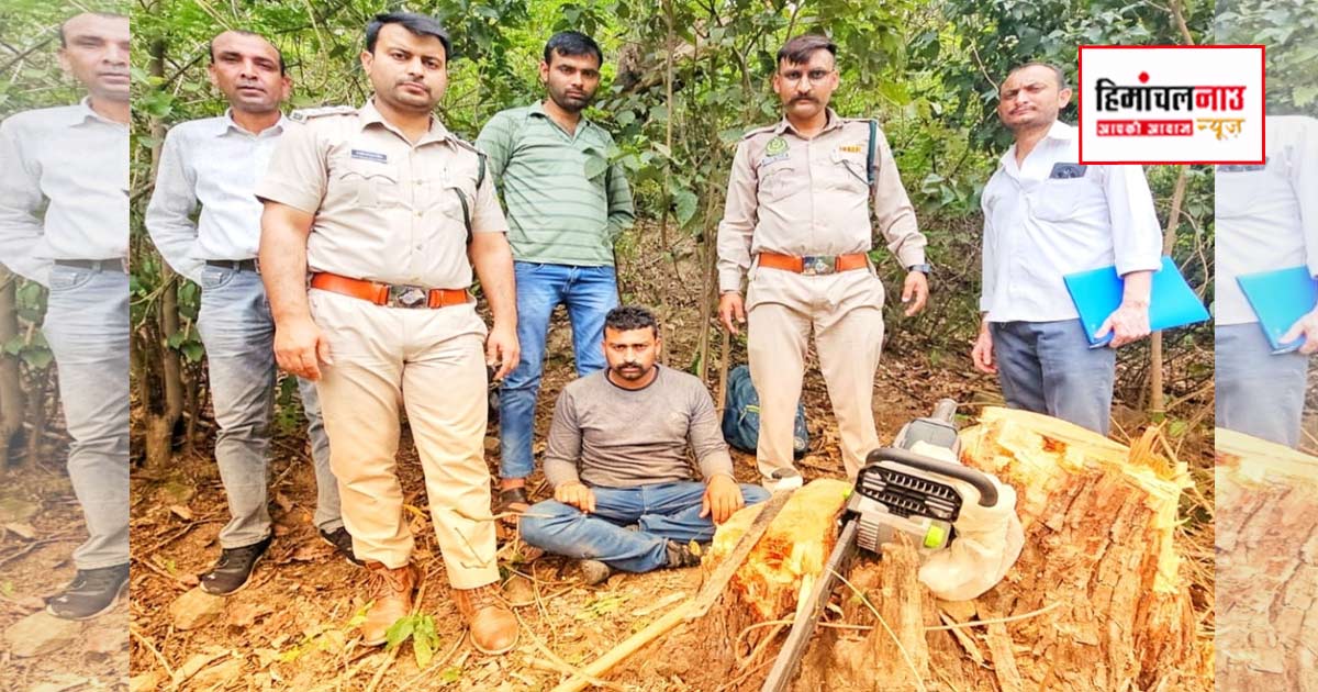 बंगाणा / वैरी हटली में अवैध खैर कटान पर आरोपी के खिलाफ देर शाम बंगाणा थाना में मामला दर्ज, जांच में जुटे पुलिस और वन विभाग टीम के अधिकारी