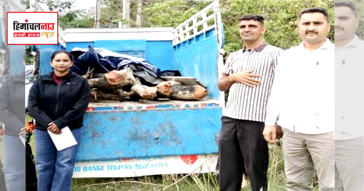 ऊना में वन विभाग और पुलिस ने अवैध खैर लकड़ी से लदी पिकअप जीप जब्त की