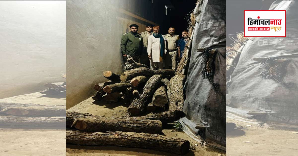 पुलिस थाना गगरेट में वन विभाग एवं पुलिस की संयुक्त कार्रवाई, अम्बोटा में खैर की लकड़ी के मोच्छे किए गए बरामद