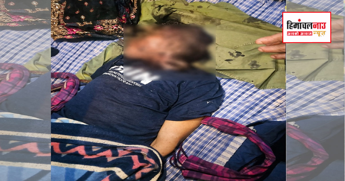 हादसा / जंगल में लकड़ी लेने गए व्यक्ति पर तेंदुआ हमला, 55 वर्षीय की मौत