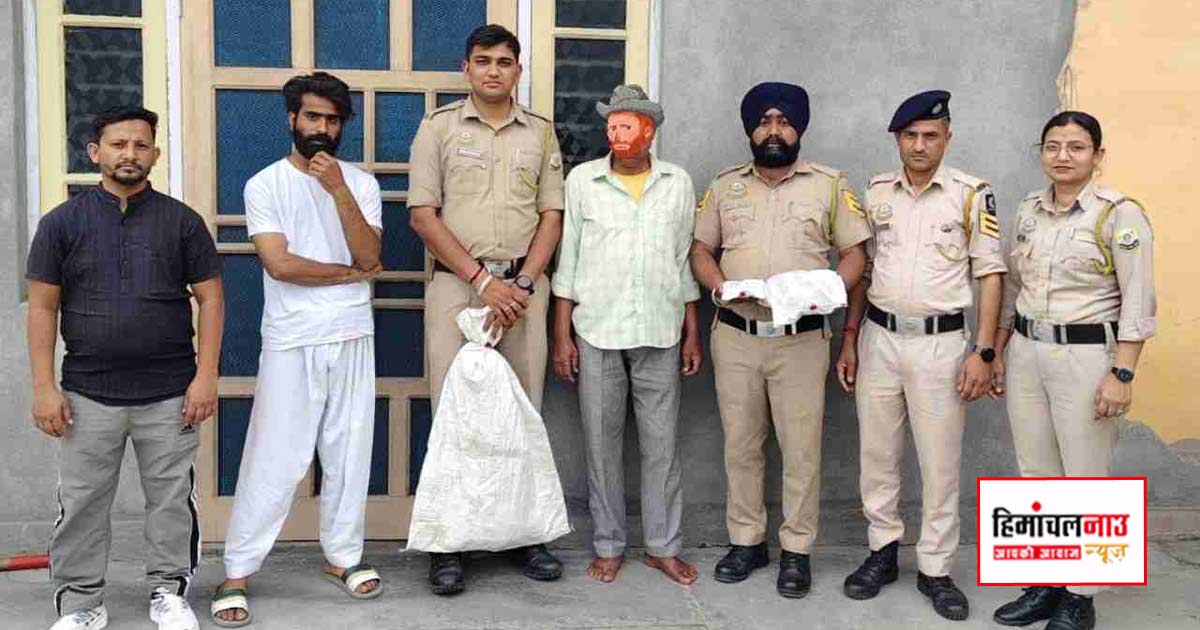 NDPS / माजरा में नशे पर बड़ा प्रहार, 56 वर्षीय व्यक्ति अफीम के पौधों और 1 किलो से ज्यादा चूरापोस्त के साथ गिरफ्तार