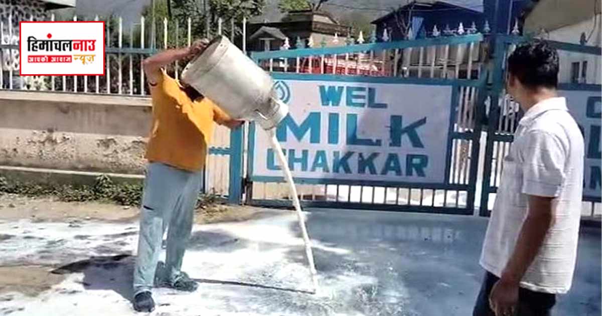 मंडी में पशुपालक ने मिल्क प्लांट गेट पर 1200 लीटर दूध बहाकर विरोध दर्ज कराया