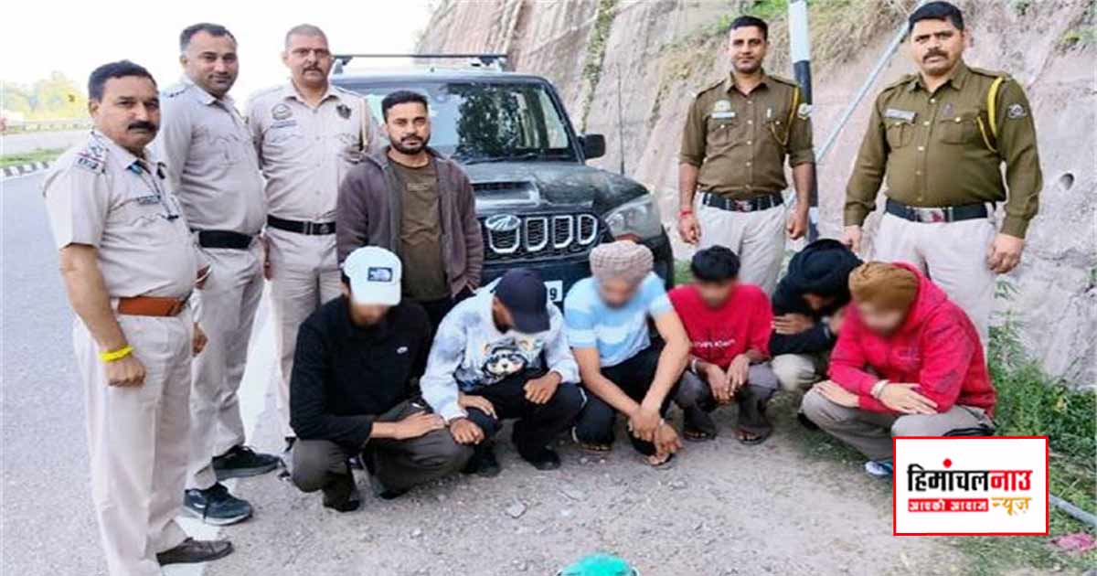 NDPS / सुंदरनगर में स्कॉर्पियो से 582 ग्राम चरस बरामद, पंजाब के 6 तस्कर गिरफ्तार