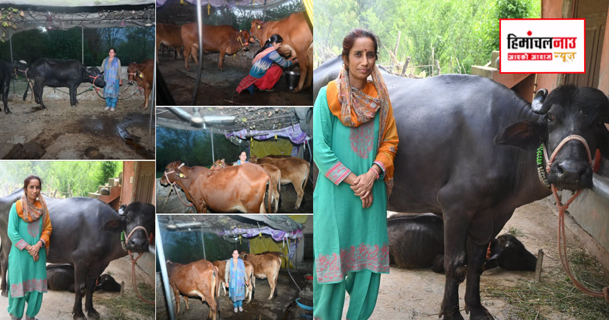 Milk MSP / दूध के एमएसपी से ग्रामीण अर्थव्यवस्था को मजबूती, पशुपालकों की आय में बढ़ोतरी