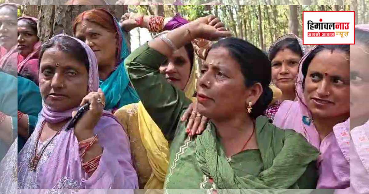 ‘ऑपरेशन रक्षा सूत्र’ में पेड़ों से चिपकीं महिलाएं, नारीवाला में कटान रुका