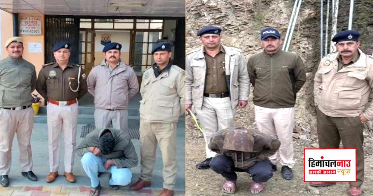 शिमला में ड्रग नेटवर्क पर पुलिस की कार्रवाई, अफीम और चिट्टा मामलों में कई आरोपी गिरफ्तार
