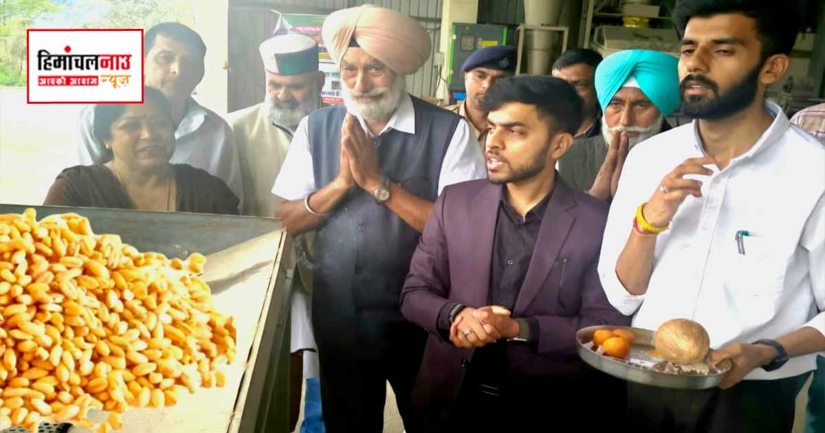 बारिश ने रोकी सिरमौर में गेहूं खरीद, पांवटा केंद्र में सिर्फ 24 क्विंटल पहुंचा अनाज