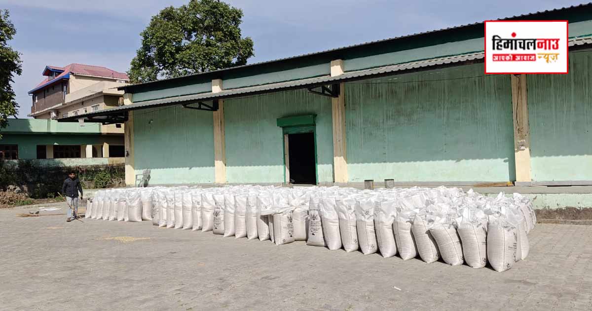 एमएसपी बढ़ने के बावजूद गेहूं खरीद सुस्त, पांच दिन में 53.25 मीट्रिक टन ही पहुंची मंडियों में