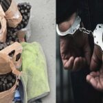 नम्होल में पुलिस द्वारा बरामद चरस और गिरफ्तार आरोपी