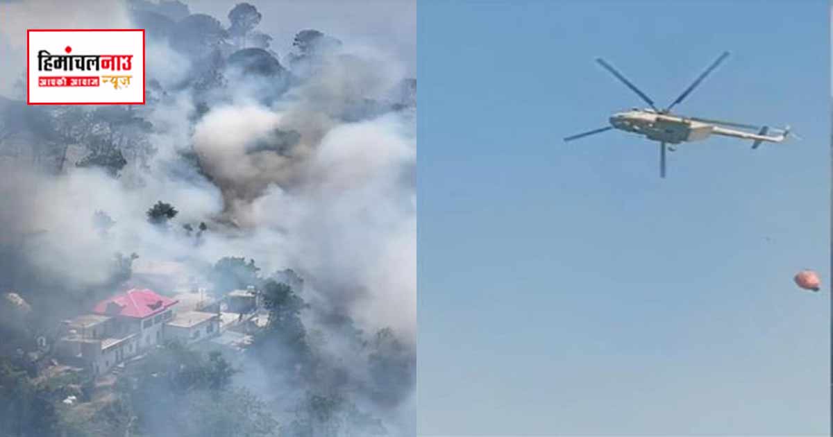 Fire / सोलन के कसौली क्षेत्र में जंगलों में आग, वायुसेना और प्रशासन की टीमें नियंत्रण कार्य में जुटीं
