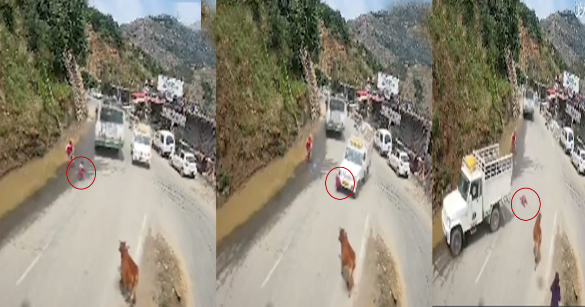 Accident / कोटखाई में सड़क हादसा, पिकअप वाहन की चपेट में आने से 4 वर्षीय बच्ची की मृत्यु