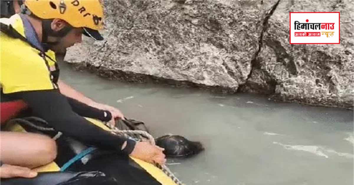 मीनस हादसे में चार दिन बाद नदी से मिला हिमाचल निवासी चालक का शव, SDRF ने चलाया अभियान