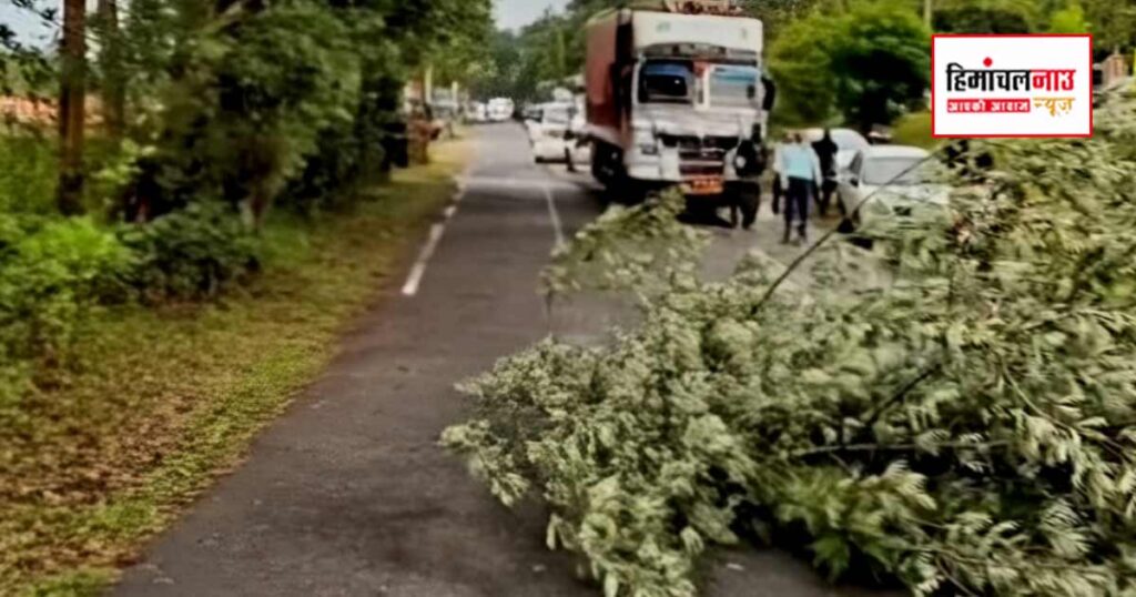 एनएच-07 पर पेड़ गिरने से जाम
