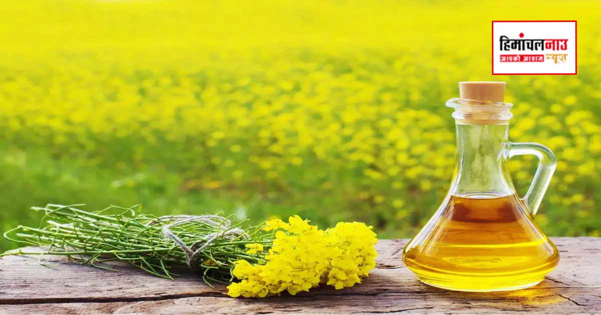 हिमाचल के राशन डिपुओं में सरसों तेल की आपूर्ति लंबित, उपभोक्ताओं को बाजार पर निर्भर रहना पड़ रहा