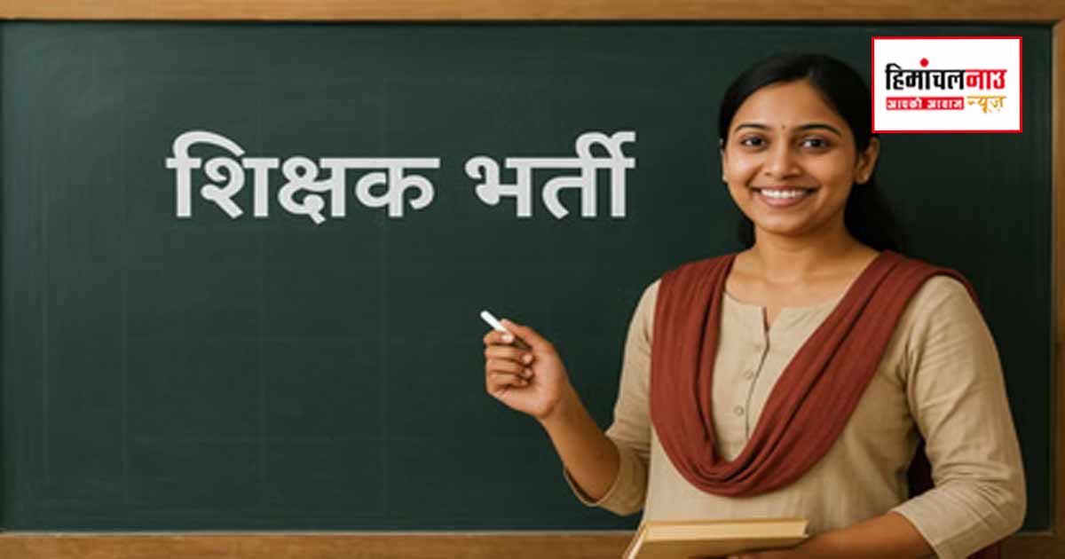 355 पीईटी पदों पर बैचवाइज भर्ती प्रक्रिया शुरू, जानिए कब होगी काउंसलिंग