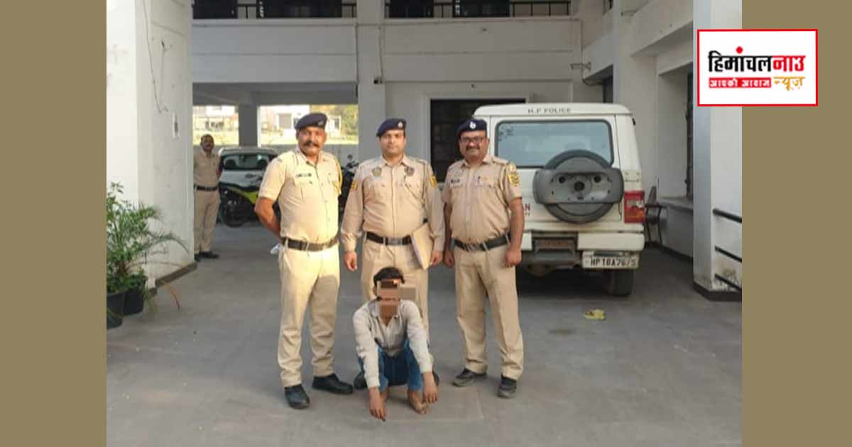 NDPS / सिरमौर में SIU की कार्रवाई में ट्रामाडोल और प्रेगाबालिन कैप्सूल के साथ आरोपी गिरफ्तार