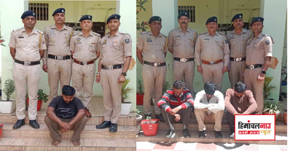 NDPS / सोलन पुलिस ने चिट्टा तस्करी गिरोह का किया खुलासा, पंजाब से मुख्य सप्लायर गिरफ्तार