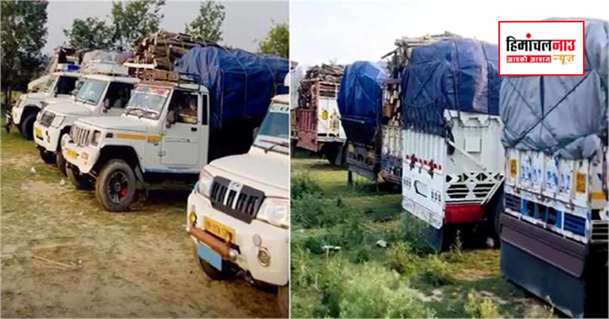 Crime / ऊना में वन विभाग की कार्रवाई, प्रतिबंधित लकड़ी से लदे 10 वाहन जब्त