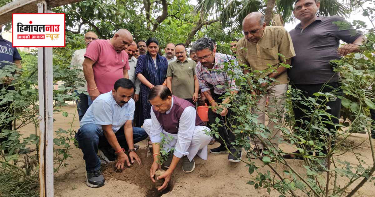 ‘एक पेड़ मां के नाम’ से संगठन को बूथ तक सक्रिय करेगी पार्टी, नड्डा के दौरे और मोदी सरकार के 12 वर्ष पूरे होने पर भी रहेगा फोकस