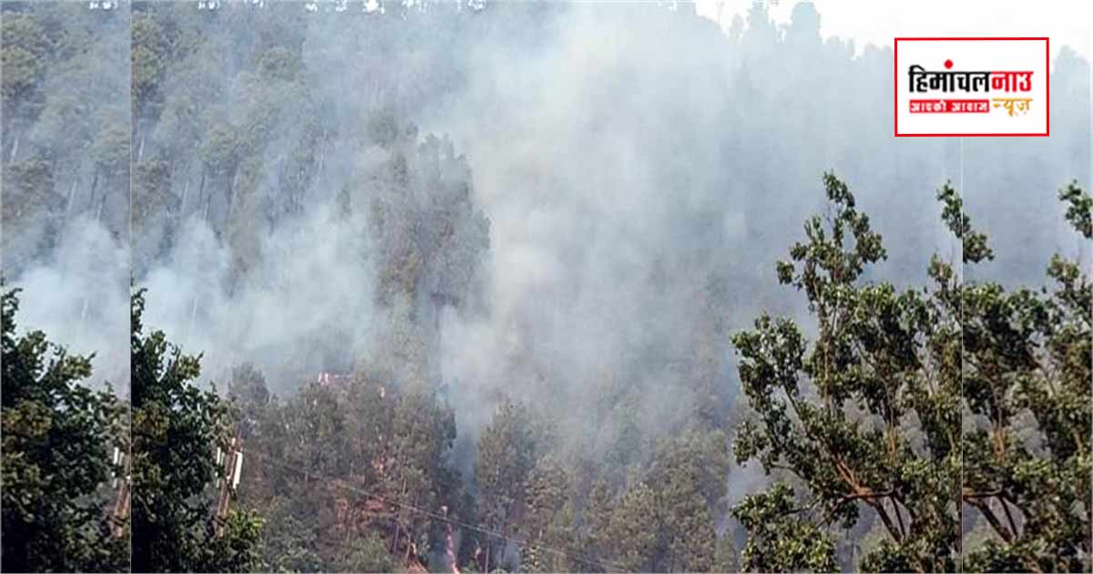 Fire / चामुंडा मंदिर क्षेत्र में जंगल की आग रिहायशी इलाके तक पहुंची, दमकल दल ने स्थिति संभाली