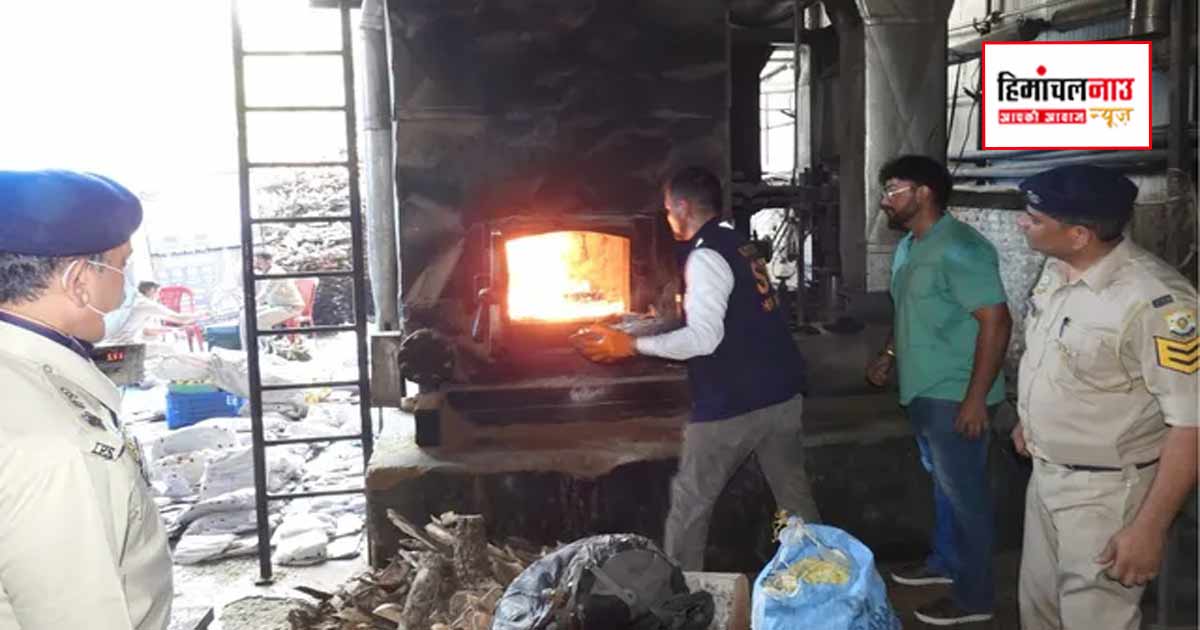 मंडी में 210 एनडीपीएस मामलों में जब्त मादक पदार्थों का निस्तारण, पुलिस ने कानूनी प्रक्रिया के तहत की कार्रवाई