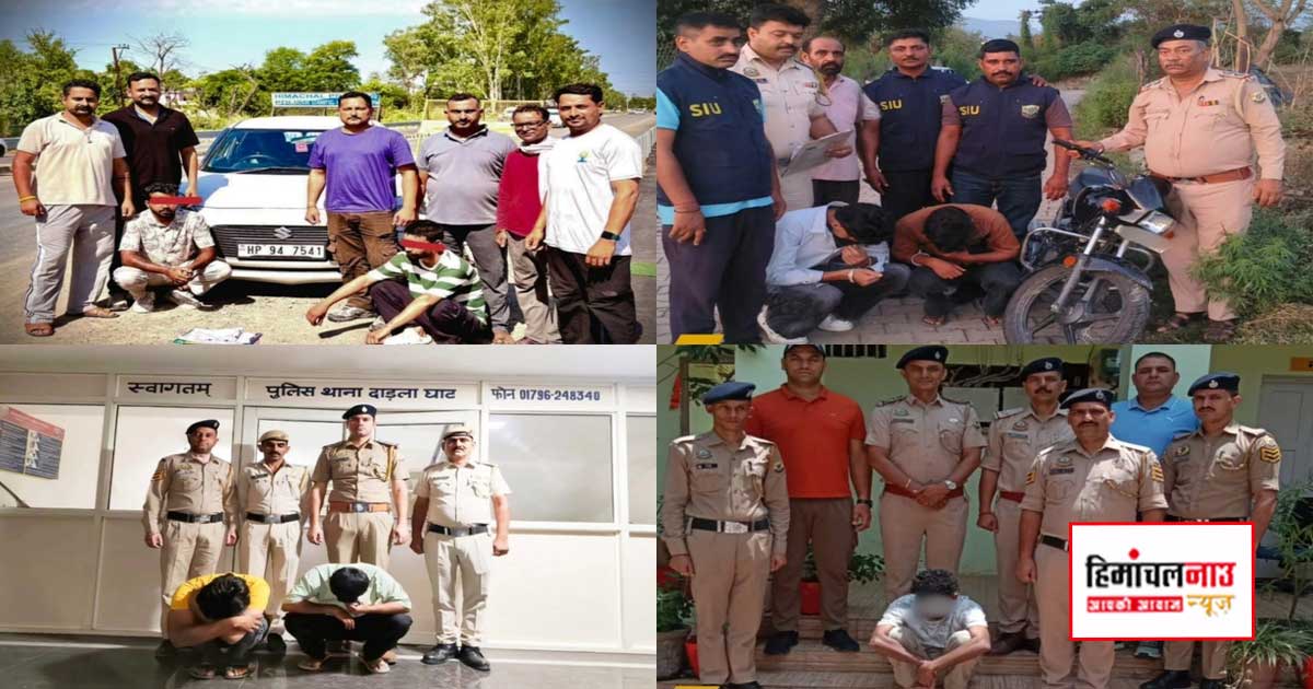 NDPS / हिमाचल पुलिस का नशे पर बड़ा प्रहार, चिट्टा और अफीम तस्करी के खिलाफ लगातार कार्रवाई