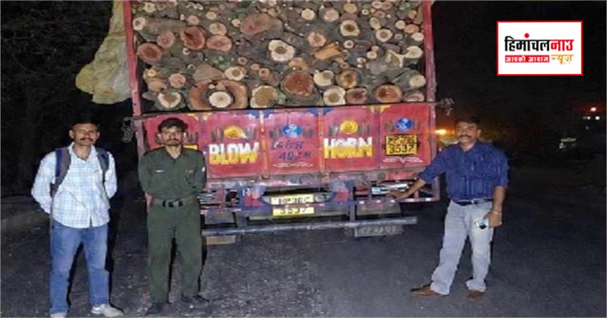 Crime / कंडवाल बैरियर पर अवैध लकड़ी से लदा वाहन जब्त, वन विभाग ने शुरू की कार्रवाई