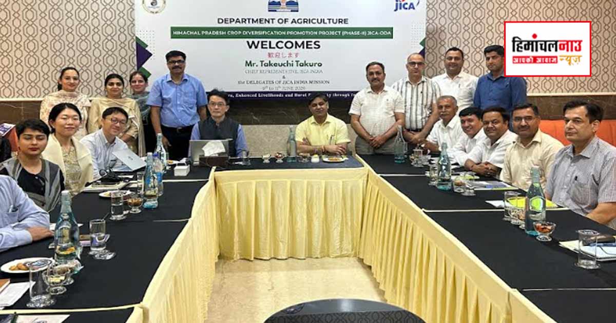 कांगड़ा में माचा चाय उत्पादन की संभावनाओं पर जोर, जाईका मिशन ने एचपीसीडीपी फेज-II की प्रगति की समीक्षा की