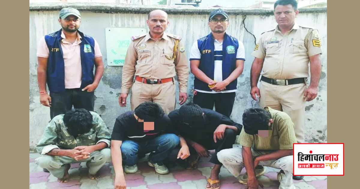 NDPS / कुल्लू के भुंतर में 10 ग्राम हेरोइन बरामद, हरियाणा के चार आरोपियों के खिलाफ मामला दर्ज