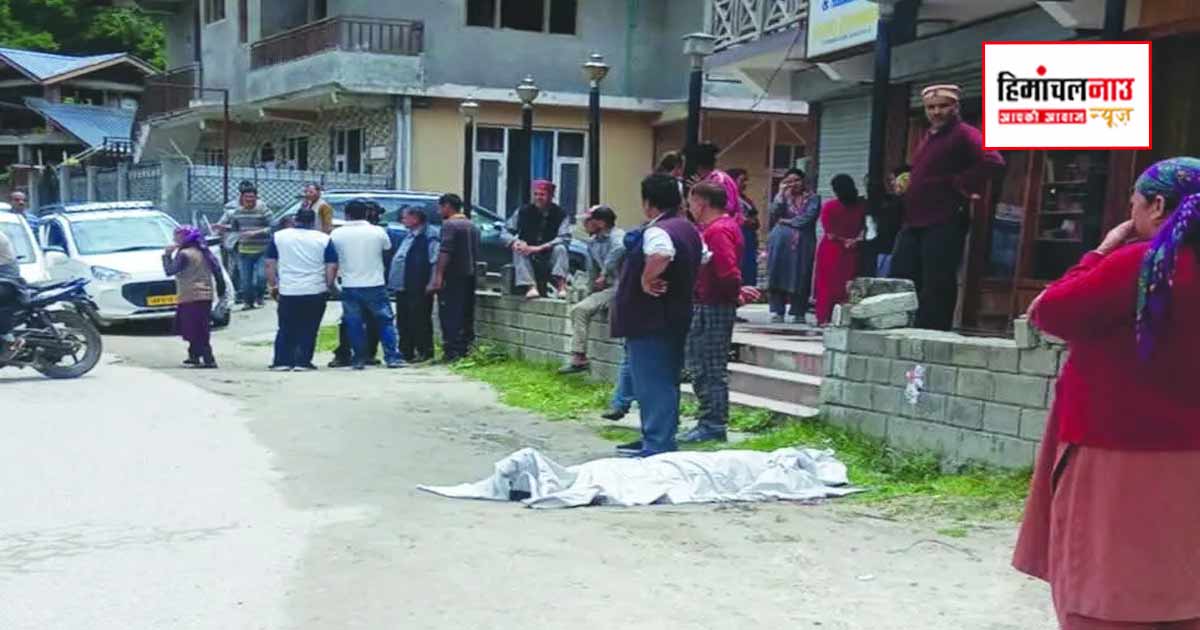 Accident / कुल्लू के नग्गर रोड पर सड़क हादसा, कार की टक्कर से पैदल राहगीर की मौत