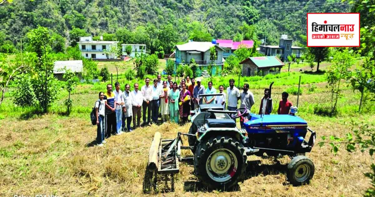 मंडी के जागर में स्थापित होगा हिमाचल का पहला मैंगो क्लस्टर, लगाए जाएंगे 25,625 आम के पौधे