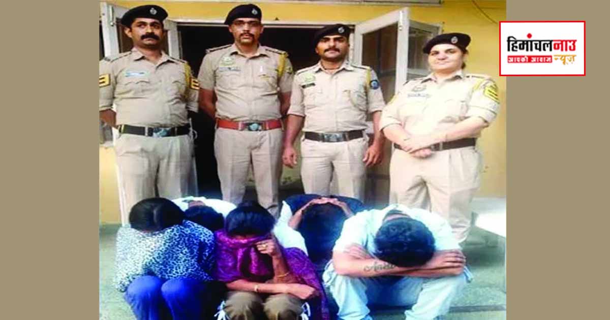 NDPS / नादौन में चिट्टा बरामदगी मामले में 2 युवतियों समेत 5 आरोपी गिरफ्तार, पुलिस ने शुरू की जांच