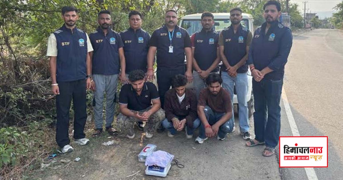 NDPS / जसूर में 223 ग्राम चिट्टे के साथ तीन तस्कर गिरफ्तार, STF की कार्रवाई में बड़ी सफलता